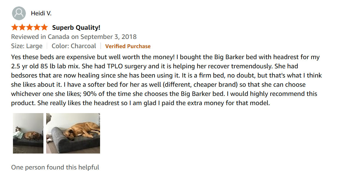 Best Dog Food for French Bulldogs: 3 Vet-Informed Picks (2026) French Bulldog eating from a bowl โ best dog food for French Bulldogs guide