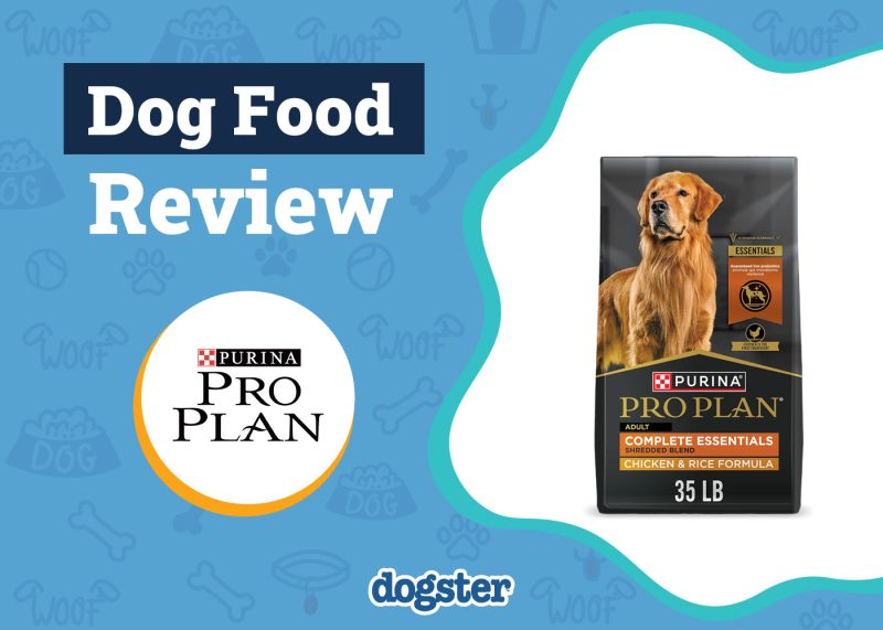 dogster purina pro plan dog food review 800x571