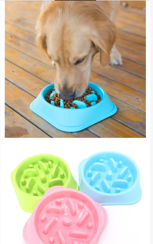Slow Feeder Dog Bowl for Dogs