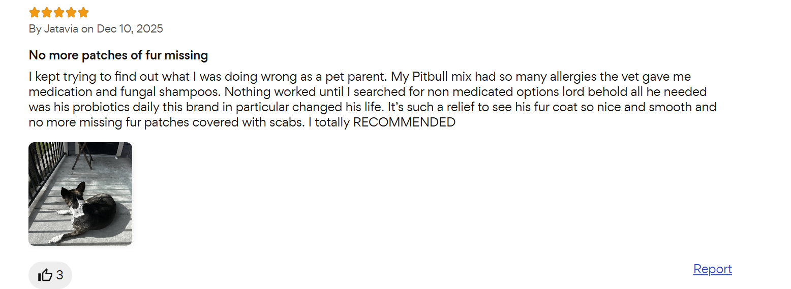 PetLab Co Probiotic Chews customer reviews