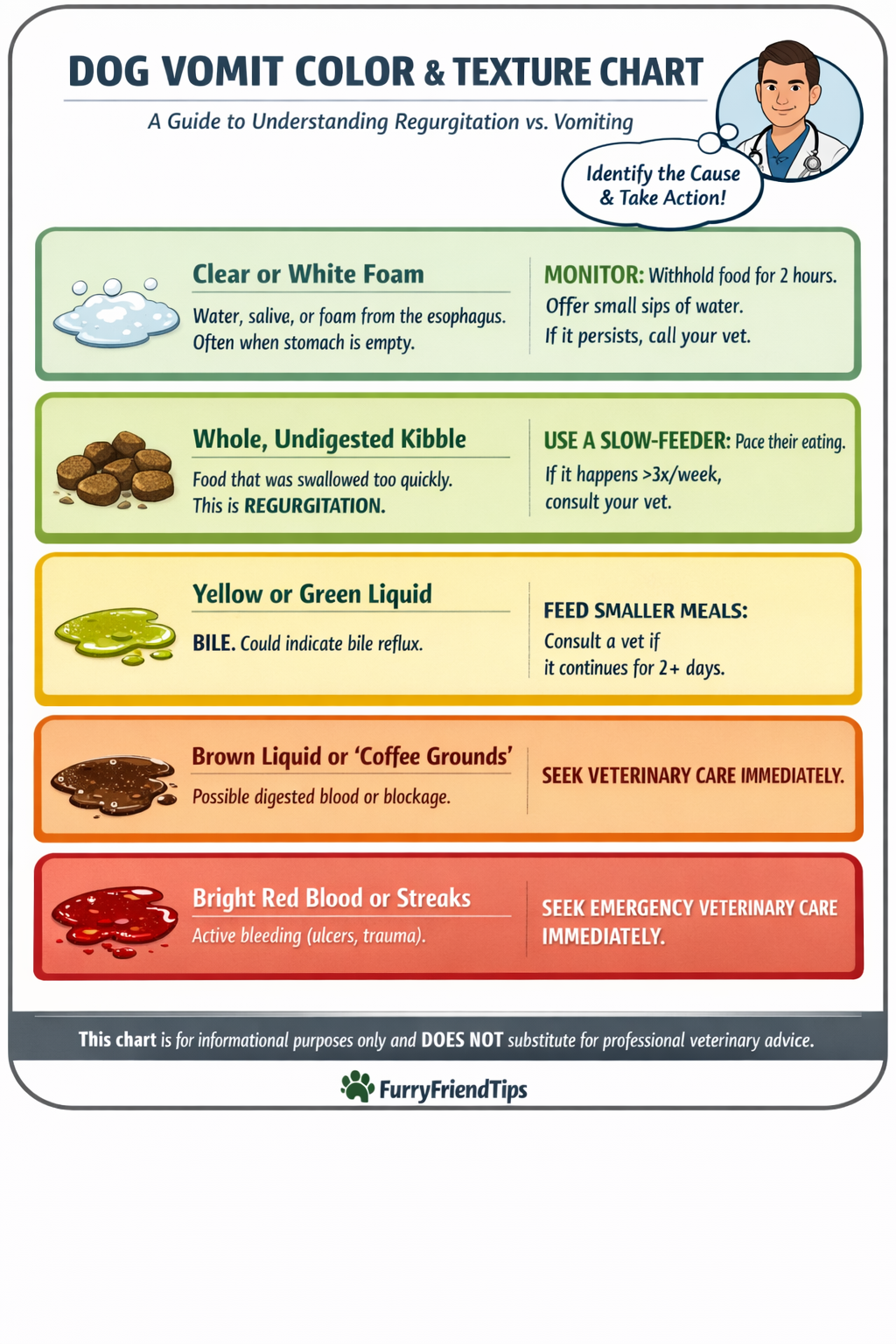 Dog vomiting undigested food — causes and remedies guide 2026