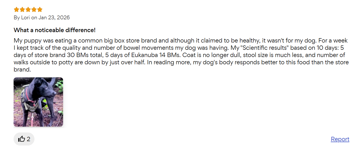 Eukanuba Performance customer review