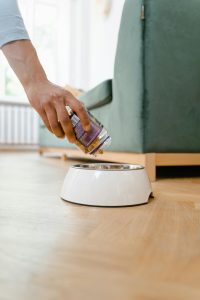 pexels photo 8434685